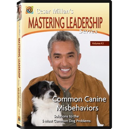 - Cesar Millan's Mastering Leadership Series Volume 5: Common Canine Misbehaviours (PAL Format)