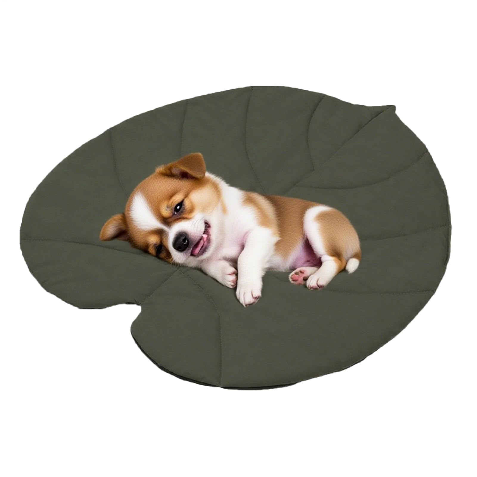 Tapis pour chien isolation contre le sol froid du balcon ou du jardin