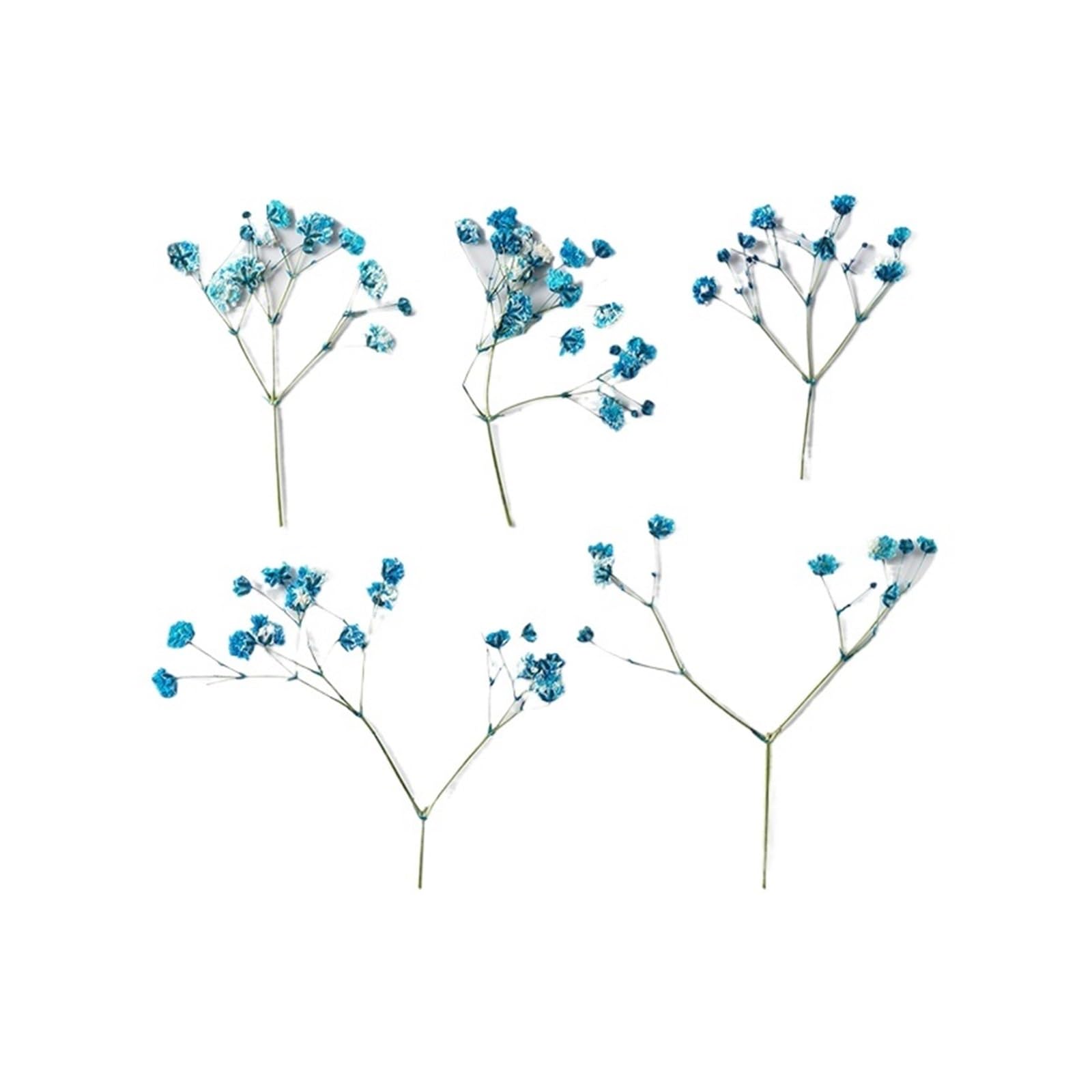 WJIAYAO dried gypsophila flowers 24pcs/4-6cm, Pressed Gypsophila Paniculata Flower Branches,Dried Babysbreath DIY Photo Frame Bookmark Drip Glue Phone Case(Color4)