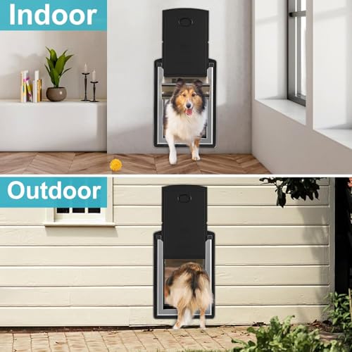 ClawJaw Hundetür für Wand, Metallrahmen und Teleskop-Tunnel, Haustiertür, doppelseitiger Windabweiser und magnetische Klappen, Schwarz (Haustiere bis zu 18 kg), Größe M