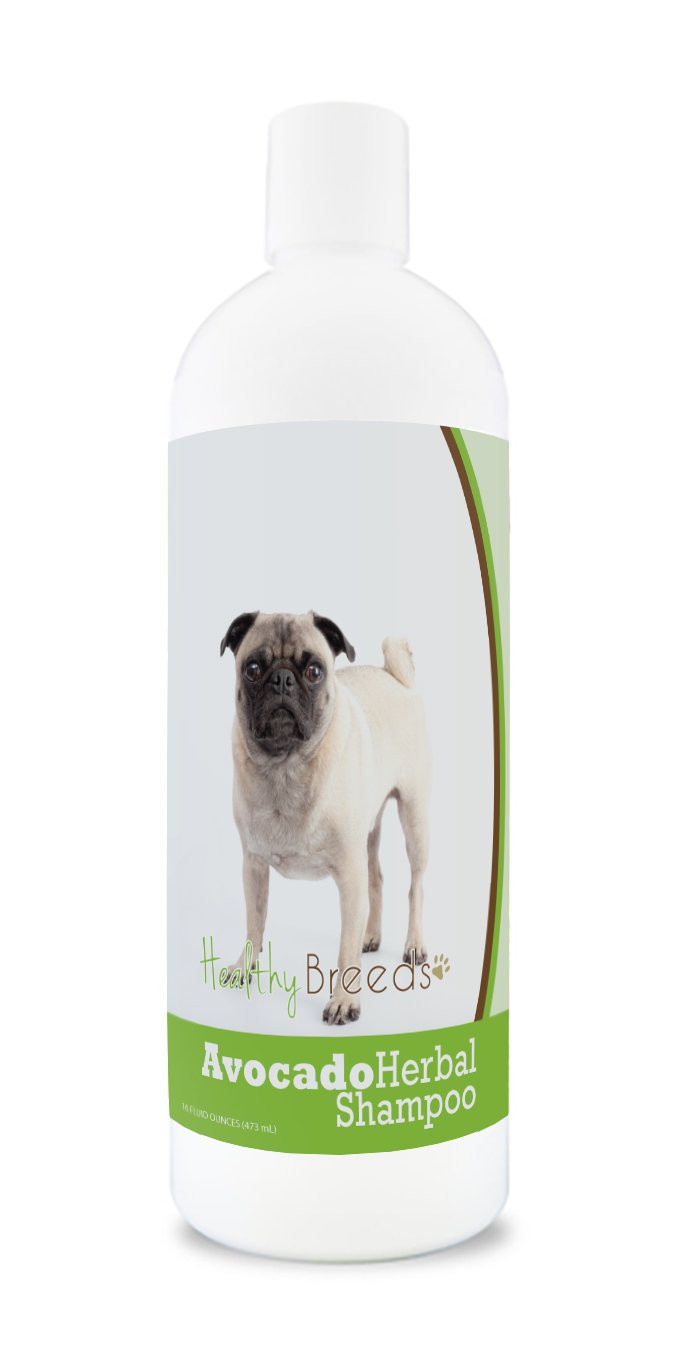 Pug Bad Dog Shampoo DR PET PLUS Organic Anti Hairfall Pug Dog - Main Image