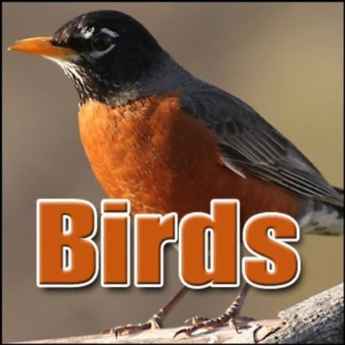 Birds Sound Effects Sound Effects Digital Music