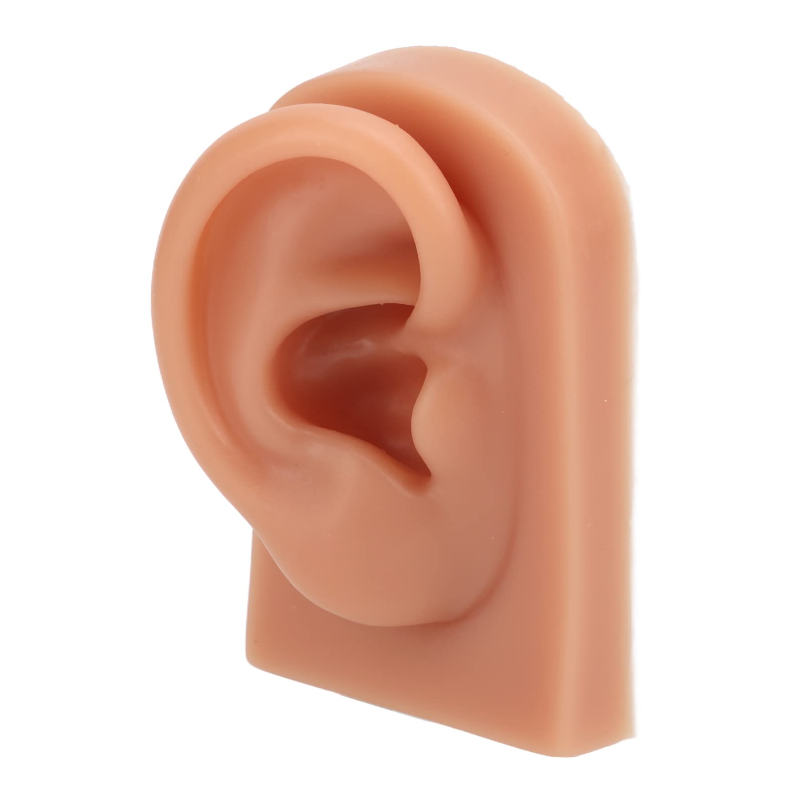 Soft Silicone Ear Model, Reused Ear Displays Soft Professional Ear Piercing Tool 3D Acupuncture Silicone for Piercing Practice Earring Display, Acupuncture, Display Model