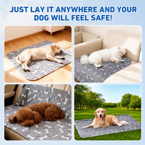 Image of Puppy Pads with Pheromones,Washable Puppy Pee Pads for Dogs,Reusable Puppy Pads Washable for Dogs & Cats,Washable,Durable Leak-Proof & Anti-Slip Pet Training Pads for Home & Trave