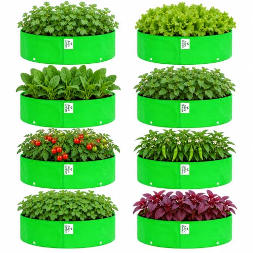 Image of Grow Bag UV Protected 260 GSM | HDPE Grow Bags for Plants | Heavy Duty Green Garden Plant Grow Bag with Drainage Holes | Reusable Vegetable Grow Bag for Terrace Gardening (8, 18X9)