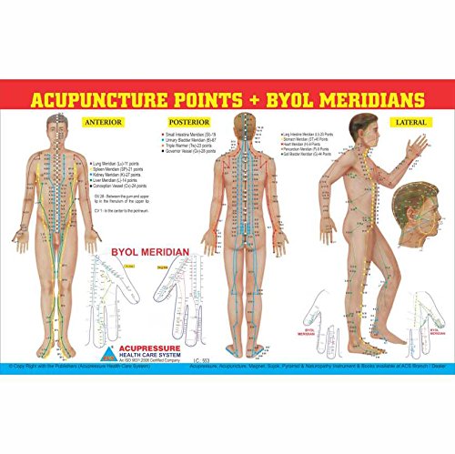 Acupuncture Point + Byol Meridian chart 11"x18"