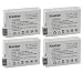 Kastar Battery (4-Pack) for Canon LP-E8, LPE8, LC-E8E work with Canon EOS 550D, EOS 600D, EOS 700D, EOS Rebel T2i, EOS Rebel T3i, EOS Rebel T4i, EOS Rebel T5i Cameras and BG-E8 Grip