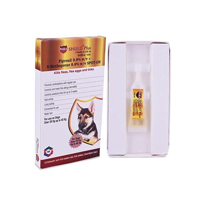 How Do I Treat Dogs For Chewing Lice