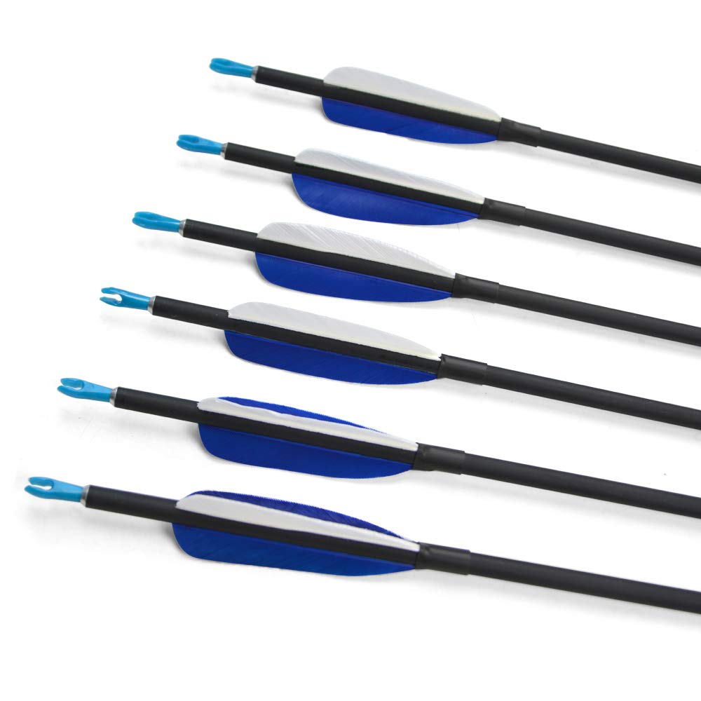 SHARROW 12pcs Flèches de Carbone 31 Pouces Flèches de Chasse 700 Spine avec Plumes de Dinde Naturelle et Carquois de Flèche pour Arc à Poulies et Arc Classique