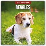 Red Robin Publishing