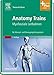 Produktbild Anatomy Trains: Myofasziale Leitbahnen (für Manual- und Bewegungstherapeuten) - mit Zugang zum Elsevier-Portal: Myofasziale Leitbahnen für Manual- und ... Mit dem Plus im Web. Zugangscode im Buch