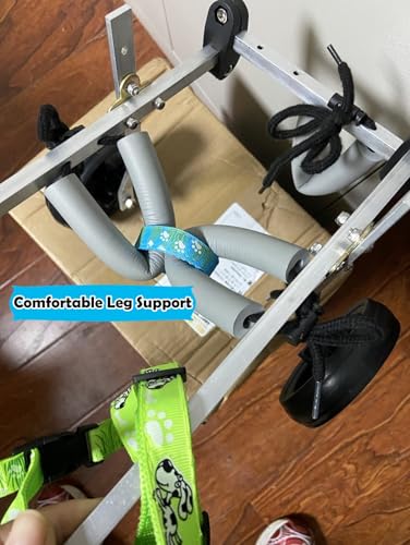 Fauteuil roulant pour chiens à deux roues stabilité des hanches