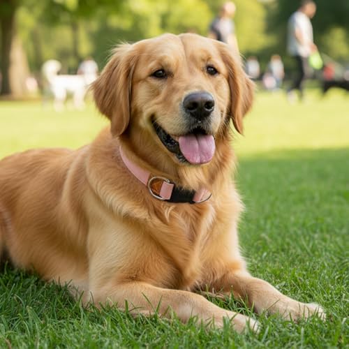 Collar de piel sintética para perro ajustable con hebilla rápida miniatura 5