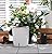 LáLáGreen Self Watering Wall Planter