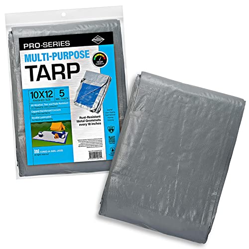 10X12 Ft Tarp, Waterproof Plastic Poly 5.5 Mil Thick Tarpaulin With Metal Grommets Every 18In - Emergency Rain Shelter, Outdoor Cover And Camping Use - (Reversible, Blue And Silver) #TOP1