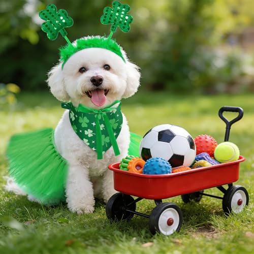Disfraz 3 piezas para perro Día de San Patricio verde miniatura 7