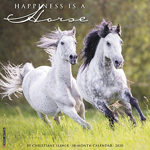 Best Horse Calendars