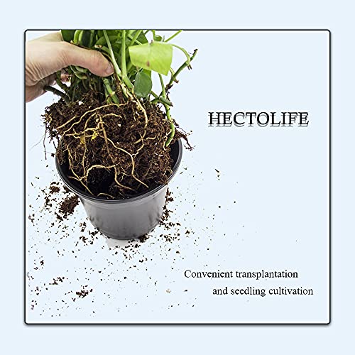 Hectolife 100-Pack 0.5 Gallon Flexible Plant Nursery Pots，Thickened Soft Plastic Seedling Pots,Seed Starting Pot Flower Plant Container For Succulents, Seedlings, Cuttings, Transplanting #TOP3