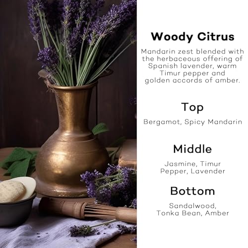 50% Off Burst Bird Car Air Freshener Hanging Diffuser (2 Pack) - Image 2