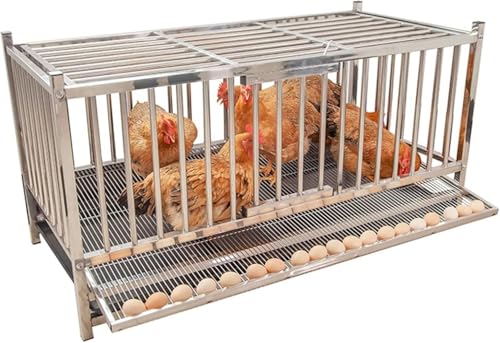 VoyageViewpOyEnb`XeX|{p {, 傫Ȍ{^ { {ŶɍœK, oRj[`LP[WƔɐB{ OwXeX| t[h{EAEH[^[{EAGbOgCt, ̌{Ƃ