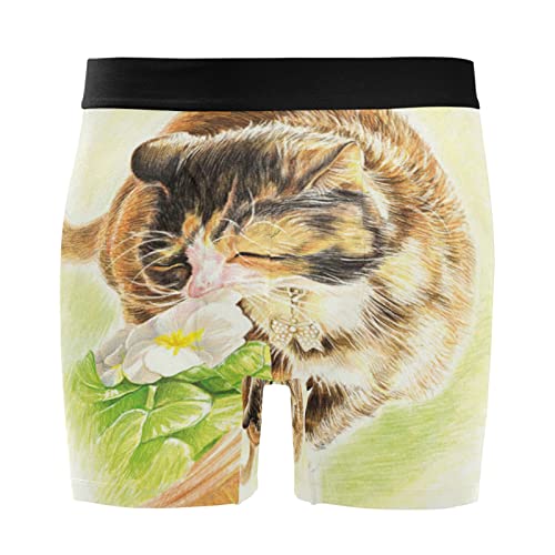 Bóxer para hombre anti rozaduras calzoncillos de gato lindo confort elástico pack de 2