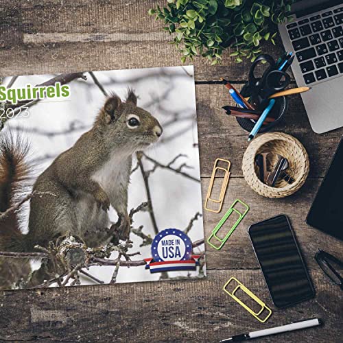 2022 2023 Squirrels Calendar - Cute Wildlife Monthly Wall Calendar - 12 X 24 Open - Thick No-Bleed Paper - Giftable - Academic Teacher's Planner Calendar Organizing & Planning - Made In Usa #TOP3