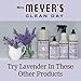 MRS. MEYER'S CLEAN DAY Multi-Surface Scrub, Non-Scratch Powder Cleaner, Removes Grime on Kitchen and Bathroom Surfaces, Lavender, 11 oz