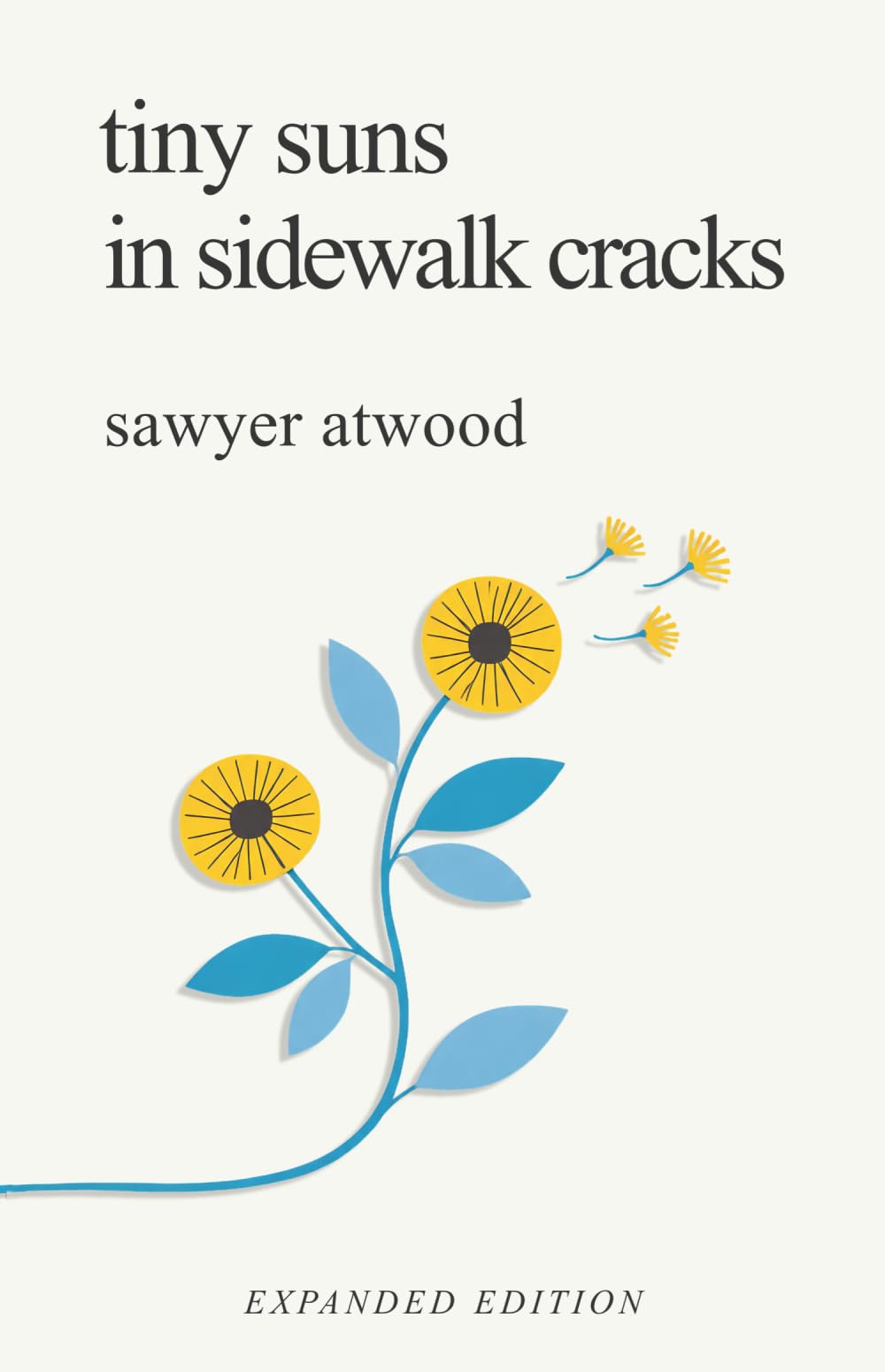 tiny suns in sidewalk cracks: expanded edition