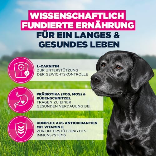 Eukanuba Senior Hundefutter mit frischem Huhn für große Rassen, Premium Trockenfutter für ältere Hunde, 15 kg