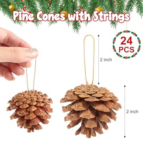 24個 2インチ 天然松ぼっくりの装飾 紐付き クリスマス松ぼっくり バルククラフト クリスマスツリー、リースオーナメント、テーブルデコレーション、秋と冬の花瓶フィラー [3]