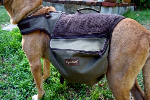 Abo Gear 2-In-1 Backpack And Harness, Small #TOP2