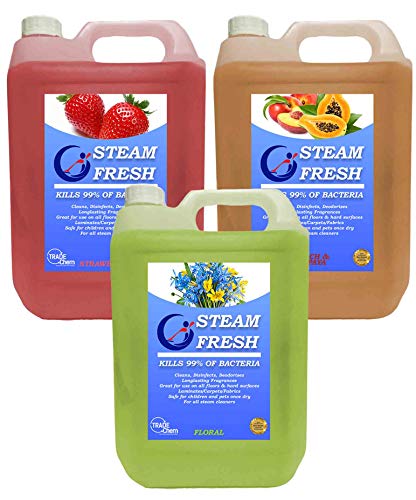 STEAM CLEANING DETERGENT SOLUTION - CLEANER FLUID FOR ALL MACHINES - LEMON - Image 2