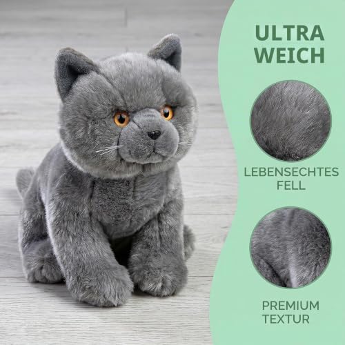 lilizzhoumax Britisch Kurzhaar bk Kuscheltier Katze plüschtier 28cm Simuliertes Tier Spielzeug Katze Kawaii Realistische Plüsch Spielzeug für Wilde Tiere, Geschenk für Freunde und Kinder