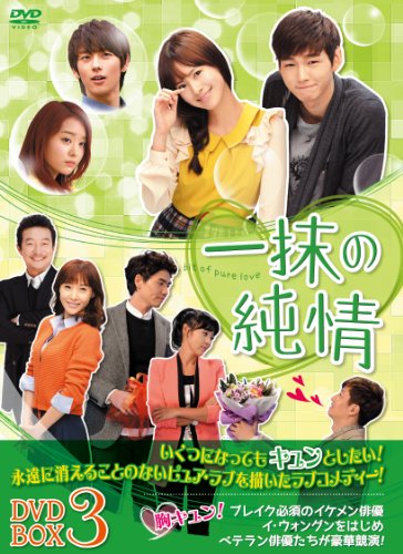 完走】韓国ドラマ「一抹の純情」あらすじ・キャスト・年齢設定