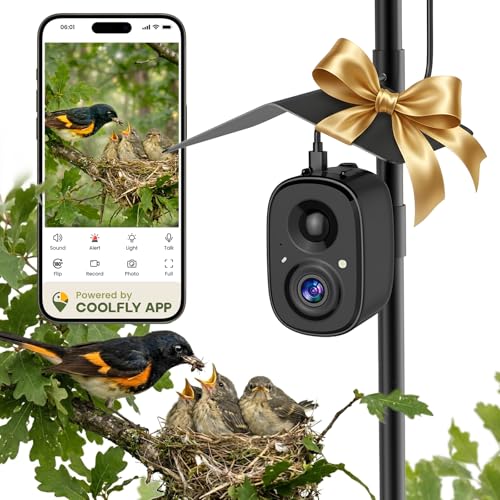 Smart Bird Feeder Camera Solar Powered w/ Pole, 2.5KHD Birdwatching Live Video Auto Capture, AI Identification & Instant Notification, Wireless Bird Cam Outdoor for Dad Gradpa, Supports 2.4G Wifi Only