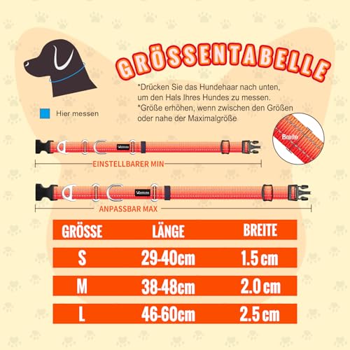Arblina Martingale Hundehalsband, Reflektierendes Zugstopp Halsband Hunde für Große Mittlere und Kleine Hunde, Nylon Zughalsband mit Stopp für Hunde Whippets, Greyhounds, Saluki, Orange,L