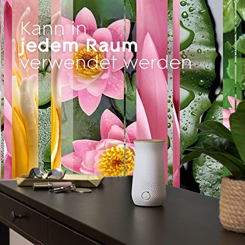 Glade (Brise) Sense und Spray Nachfüller (für Glade Lufterfrischer Gerät), Relaxing Zen 3x18 ml 3