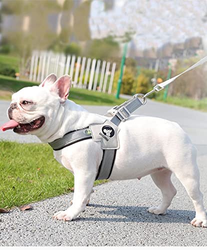 Duomm No Pull Dog Harness, Step In Reflective Mesh Padded Puppy Harness，Comfortable And Easy Fit Adjustable Pet Harness For Small, Medium, Large Dogs Walking And Tranning (Black, L) #TOP6