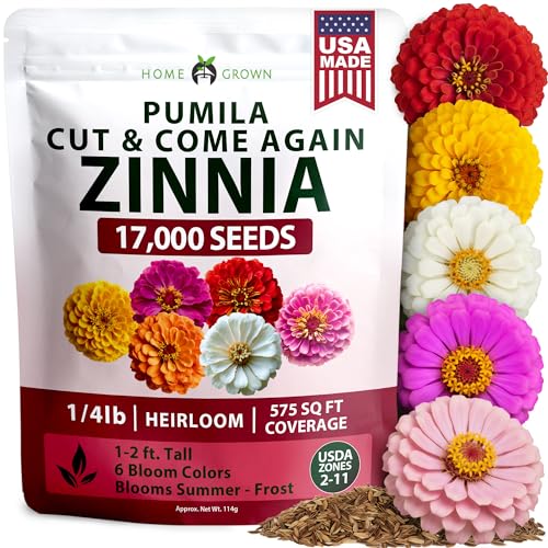 Image of HOME GROWN Zinnia Seeds Mix - 17,000 Pumila Compact Zinnia Flower Seeds for Planting Outdoors | Bulk Colorful Annual Cut Flowers for Summer Gardens & Containers (Zinnia elegans)