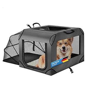 Dog Transport Box Animal Dog Box Transport Bag Foldable Dog Bag Pet Transport Breathable & Water-Repellent for Dogs and Cats (M – 63 x 43 x 40 cm)