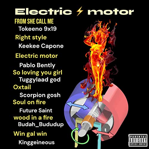  Electric Motor