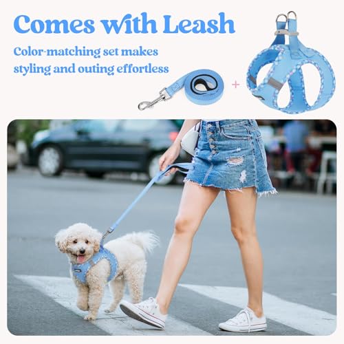 Image of rabbitgoo Dog Harness Small Sized and Leash Set, Step-in Puppy Pet Vest