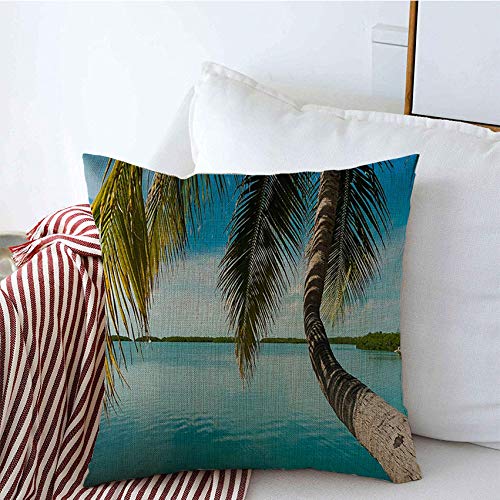 Decorative Pillow Covers Holiday Florida Keys Along Shoreline Attraction Coconut Nature Parks Outdoor