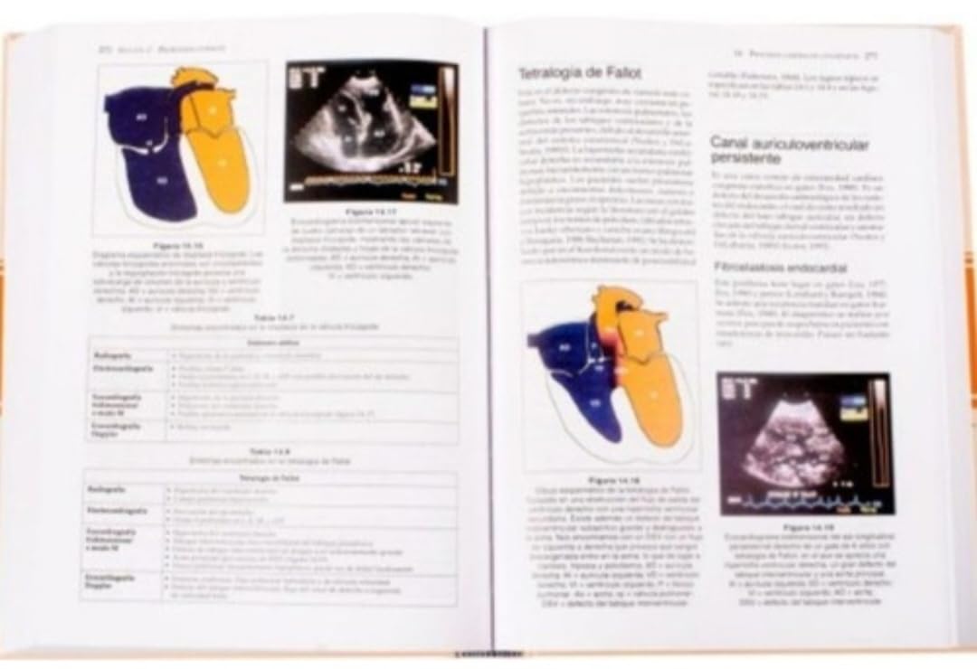 Bsava Manual Medicina Y Cirugia Cardiorespiratoria En Pequenos Animales