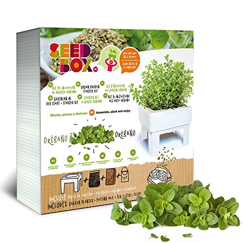 SeedBox SBCUOR-Oregano: Amazon.es: Jardín