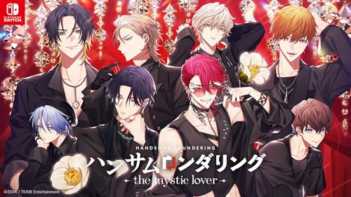 ハンサムロンダリング -the mystic lover- - Switch