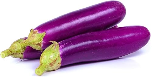 Miniatura 3 de Semillas largas de berenjena morada para plantar, más de 100 semillas tradicionales por paquete, semillas de jardín de Isla (semillas de jardín de