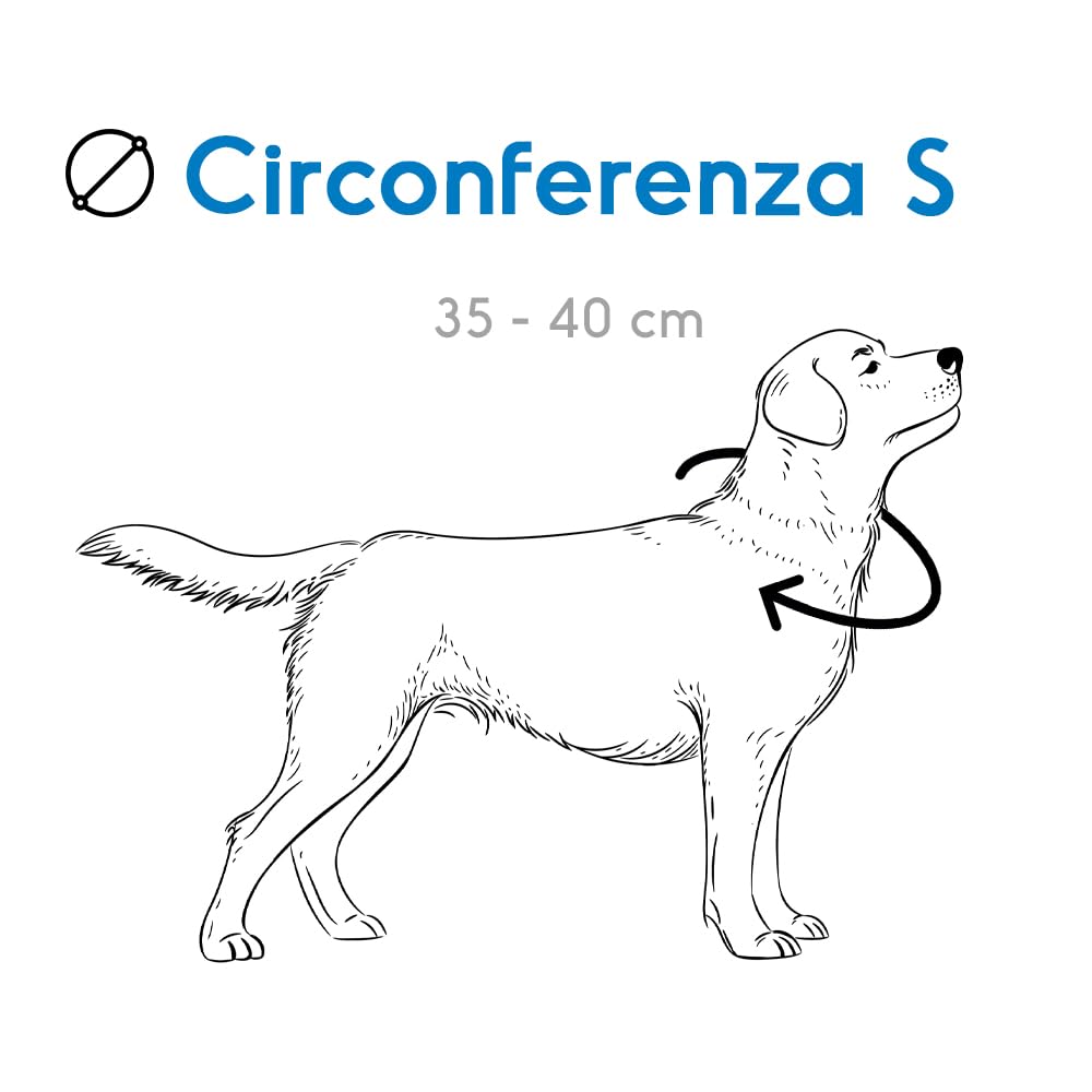 Record, Ande Dog Collar, Made of Durable Nylon, Reflective Details, Plastic Closure Clip, Red Color, Size S, 2cm - Image 2