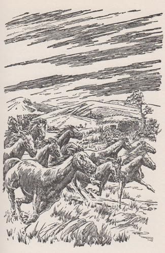 The Island of Horses 0571060552 Book Cover