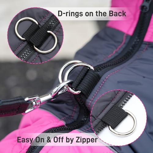 Abrigo para perro mediano JoyDaog talla XL miniatura 2